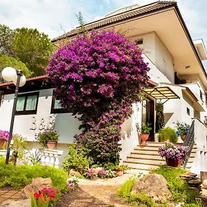 Bed & Breakfast Santa Fara
